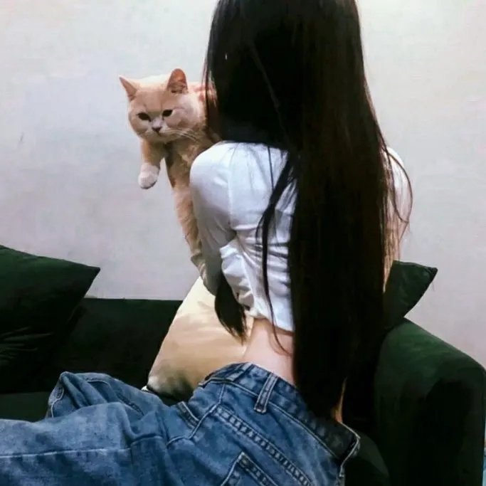 34街奇缘